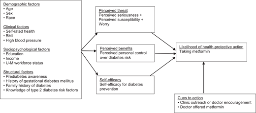 Theoretical model to explain metformin use among employees, dependents, and retirees with prediabetes.