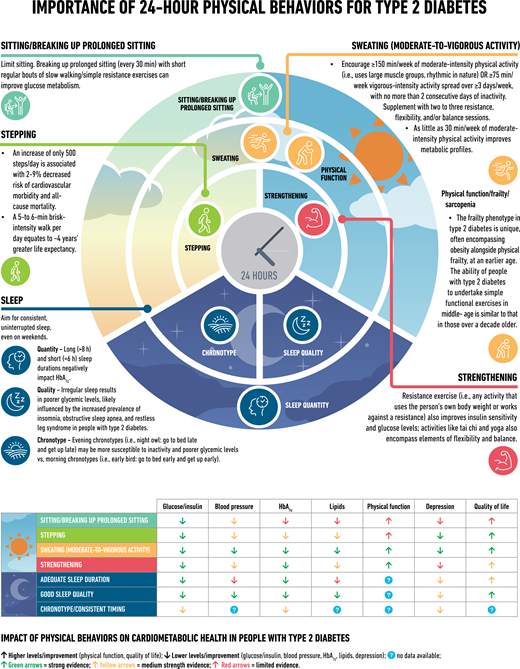 Importance of 24-h physical behaviors for type 2 diabetes.