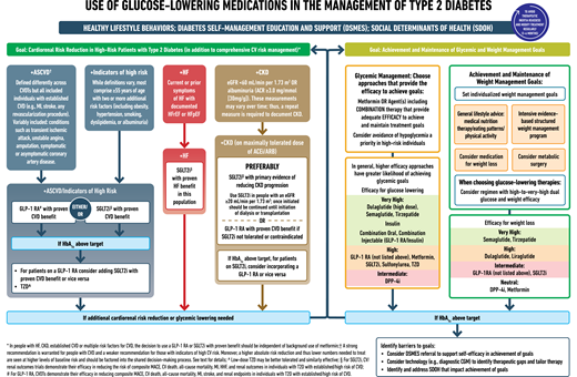 Use of glucose-lowering medications in the management of type 2 diabetes. ACEi, angiotensin-converting enzyme inhibitor; ACR, albumin/creatinine ratio; ARB, angiotensin receptor blocker; ASCVD, atherosclerotic cardiovascular disease; CGM, continuous glucose monitoring; CKD, chronic kidney disease; CV, cardiovascular; CVD, cardiovascular disease; CVOT, cardiovascular outcomes trial; DPP-4i, dipeptidyl peptidase 4 inhibitor; eGFR, estimated glomerular filtration rate; GLP-1 RA, glucagon-like peptide 1 receptor agonist; HF, heart failure; HFpEF, heart failure with preserved ejection fraction; HFrEF, heart failure with reduced ejection fraction; HHF, hospitalization for heart failure; MACE, major adverse cardiovascular events; MI, myocardial infarction; SDOH, social determinants of health; SGLT2i, sodium-glucose cotransporter 2 inhibitor; T2D, type 2 diabetes; TZD, thiazolidinedione.