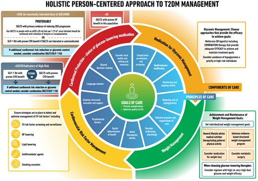 Holistic person-centered approach to T2DM management. 1“Cardiovascular Disease and Risk Management” in Standards of Medical Care in Diabetes—2022 (141). ACEi, angiotensin-converting enzyme inhibitor; ARB, angiotensin receptor blockers; ASCVD, atherosclerotic cardiovascular disease; BP, blood pressure; CKD, chronic kidney disease; CV, cardiovascular; eGFR, estimated glomerular filtration rate; GLP-1 RA, glucagon-like peptide 1 receptor agonist; HF, heart failure; SGLT2i, sodium-glucose cotransporter 2 inhibitor; T2D, type 2 diabetes.