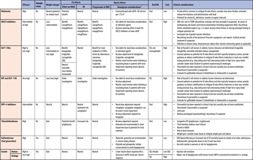 Medications for lowering glucose, summary of characteristics