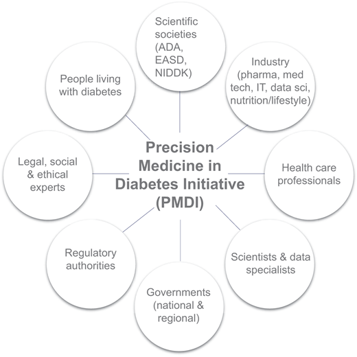 Overview of key stakeholders germane to the success of the ADA/EASD PMDI. IT, information technology; pharma, pharmaceutical industry; med tech, medical technology; data sci, data science.