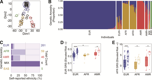 Analysis of T1D GRSs by ancestry. Colors denote individuals of EUR (blue), AFR (brown), AMR (red), EAS (green), and SAS (purple) genetic ancestry. A: Individuals (n = 377) are plotted as light (no T1D) and dark (T1D) gray circles according to their proportions of EUR, AFR, AMR, EAS, and SAS ancestry. Each non-gray-colored circle represents the center of a cluster of individuals; the size of the circle is proportional to the number of people in a cluster. Each cluster contains individuals of a single ancestry with a proportion of ≥0.88 (4 circles; blue circle at the top, red and yellow circles at the bottom, and the green circle), multiple ancestries in equal proportions (3 circles; termed MIX, black), or a single ancestry with contributions from others (8 remaining circles). B: Ancestry composition of all 377 individuals. A plus sign (+) denotes individuals within a group with increasing proportions from other ancestries. C: The percentage of agreement between the calculated genetic ancestry (B) and self-reported ethnicity taken from hospital medical charts (Caucasian, African American, Hispanic/Latino, Asian, American Indian/Alaska Native, and >1 group). Racial and ethnic categories are based on the United Network for Organ Sharing definitions. Transparent purple represents concordance (e.g., an individual determined to be of AMR ancestry and self-reported as Hispanic/Latino), light purple is partial agreement (e.g., AMR+ ancestry and Hispanic/Latino), and dark purple denotes discordance (e.g., AMR or AMR+ and Caucasian). D and E: GRS values were compared within each ancestry for those with (box with no color fill) and without (solid color) T1D using EUR (D) and AFR (E) models. Data points with no fill color represent individuals with admixture ranging from a proportion of >0.01 to 0.11. *P ≤ 0.05; ***P ≤ 0.0001.
