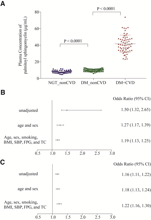 Plasma concentration level of PSM in participants and the association with CVD events in the discovery and validation groups of diabetes. A: Plasma concentration level of PSM of participants in the NGT_non-CVD, DM_non-CVD, and DM_CVD groups. B: Association between plasma concentration of PSM and CVD in patients with diabetes unadjusted and adjusted for conventional cardiovascular risk factors in the discovery group. C: Association between plasma concentration of PSM and CVD in patients with diabetes unadjusted and adjusted for conventional cardiovascular risk factors in the validation data set.