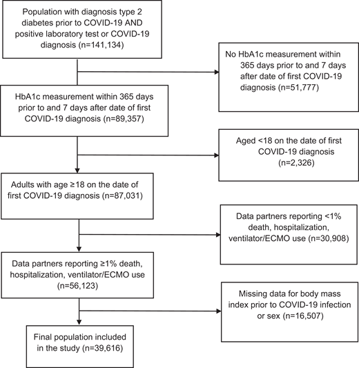 Study flow diagram of the cohort.