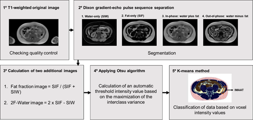 IMAAT processing steps. F, fat; SIF, signal intensities of fat; SIW, signal intensities of water.