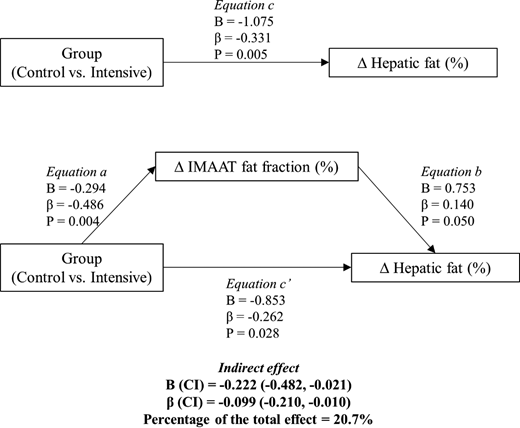 Mediation model to determine whether changes in IMAAT mediated changes in hepatic fat percentage. Data are presented according to the per-protocol analysis, i.e., attending at least 50% of the educational program sessions (in the exercise group, no minimum attendance of exercise sessions was required). Analyses were adjusted for baseline values, age, and sex. Delta (Δ) expresses the outcome at postintervention with respect to baseline.