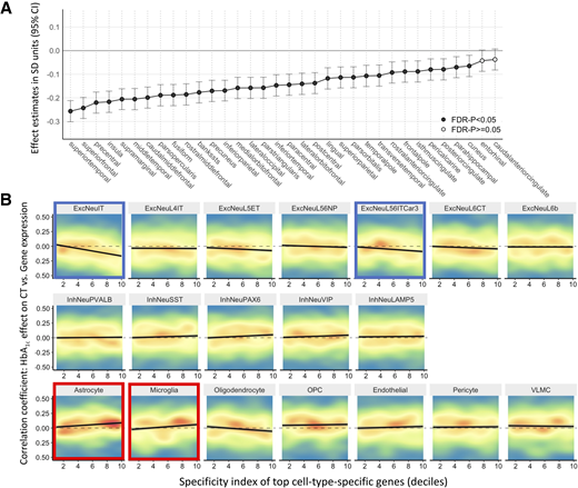 Regional associations between HbA1c and CT and cell-type enrichment analysis. A: Regional associations across the cerebral cortex for each of 34 regions in Desikan-Killiany Atlas estimated in individuals with sex-specific HbA1c levels above breakpoint values shown in Fig. 1. B: Cell-type enrichment analysis of association between cell-type specificity for gene and its correlation between bulk mRNA expression and HbA1c–CT coefficient (from panel A). Individual genes are are shown in a density plot, where red represents areas with high density of genes, and blue represents areas with low density of genes. Solid black line represents linear model fit. FDR, false discovery rate; OPC, oligodendrocyte precursor cell; VLMC, vascular leptomeningeal cell.