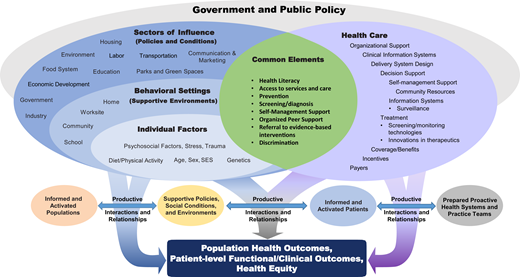 Framework adopted by the NCCC that combines elements of the Socioecological Model and the Chronic Care Model. SES, socioeconomic status.