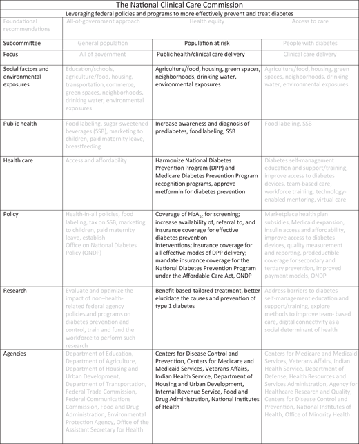 The National Clinical Care Commission Report to Congress Leveraging