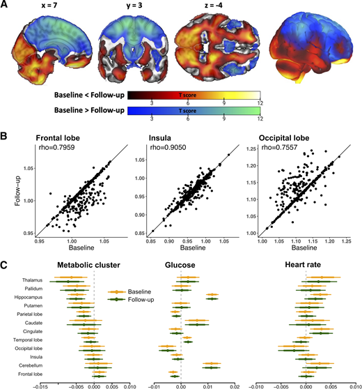 A: Full-volume comparison between baseline and follow-up 18F-FDG PET scans. B: Distribution of SUVRs of frontal lobe, insula, and occipital lobe in baseline and follow-up 18F-FDG PET scans. C: Posterior intervals of the regression coefficients for metabolic cluster, glucose, and heart rate for prediction of SUVR. The thick lines represent the 80% posterior intervals, the thin lines represent the 95% posterior intervals, and the circles represent posterior means.