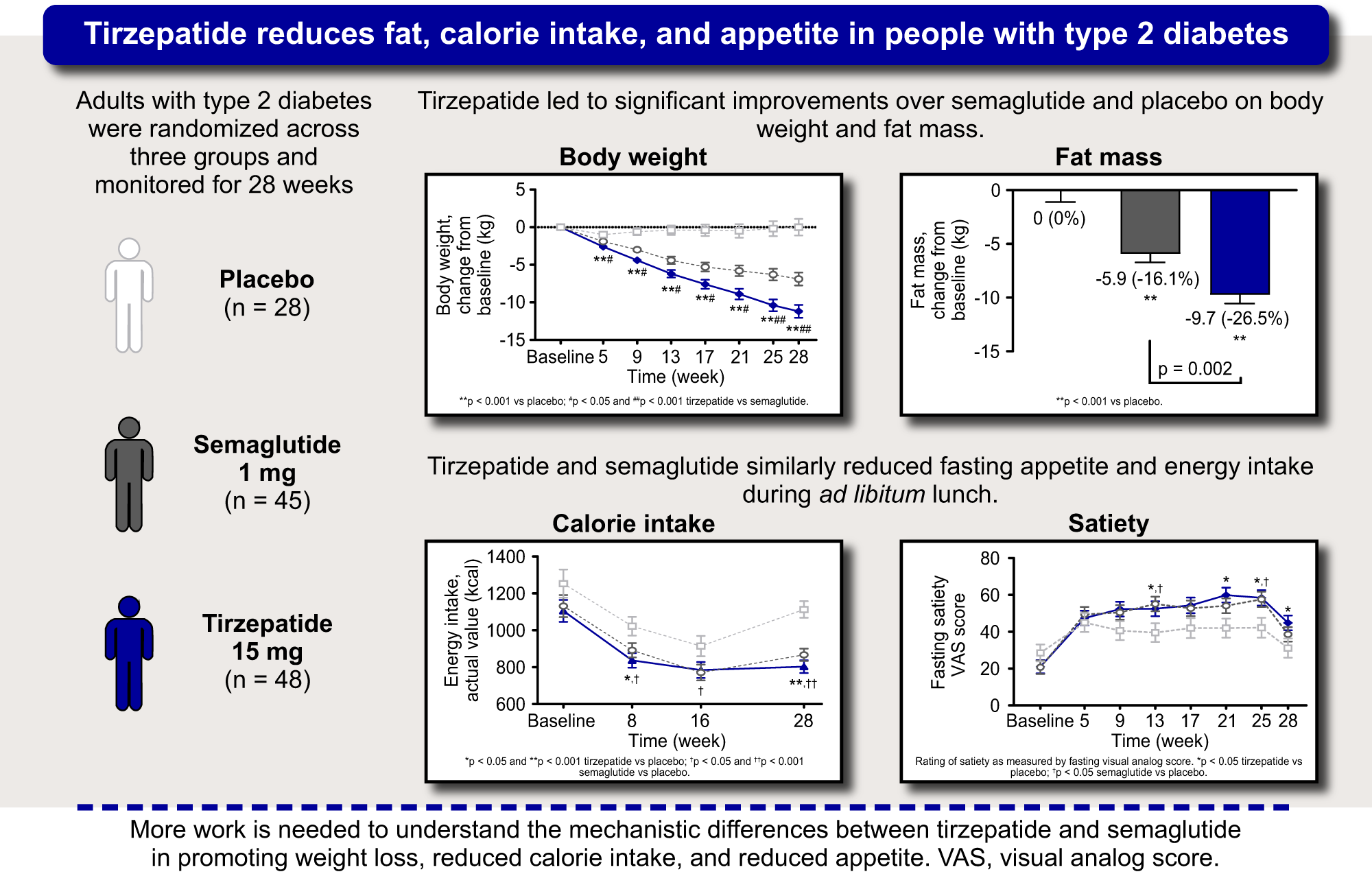 Tirzepatide Reduces Appetite, Energy Intake, and Fat Mass in People ...