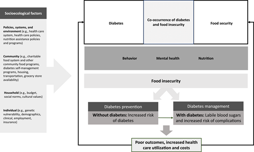 Co-occurrence of diabetes and food insecurity.