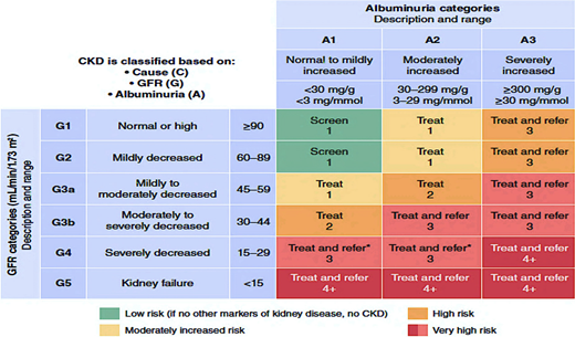 Heat map representing CKD staging by GFR and albuminuria and risk of further CKD deterioration. Adapted from Levey et al. (135).
