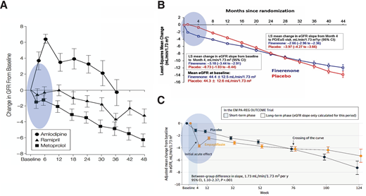 Acute changes in GFR slopes with three distinct classes of drugs with unique mechanisms that slow kidney disease progression associated diabetes. A: Estimated mean changes (SE) in GFR (mL/min/1.73 m2) from baseline through follow-up in three drug interventions (127). B: Rate of eGFR decline between finerenone and placebo. Despite equivalent GFR at baseline, the finerenone group shows stabilization of slowed GFR declines (96) and higher GFR declines at 4 months, which are associated with better long-term outcomes. C: Initial decline in GFR decline in the empagliflozin group compared with placebo at month 4 (128). The slopes eventually cross over at week 76, and analyses of the slopes in the long-term phase shows higher GFR decline in the placebo group than the empagliflozin group, P < 0.05. EMPA-REG Outcome, BI 10773 (Empagliflozin) Cardiovascular Outcome Event Trial in Type 2 Diabetes Mellitus Patients; LS, least squares.