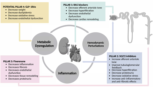 The manifold pathophysiological mechanisms involved in end-organ damage argue for a pillared approach with targeted therapies that have distinct pharmacodynamic actions (135).