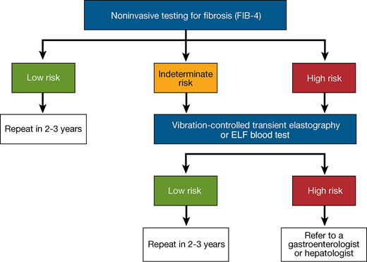 A proposed algorithm for risk stratification in individuals with nonalcoholic fatty liver disease (NAFLD) or nonalcoholic steatohepatitis (NASH). ELF, enhanced liver fibrosis; FIB-4, fibrosis-4 index. Adapted from Kanwal et al. (105).
