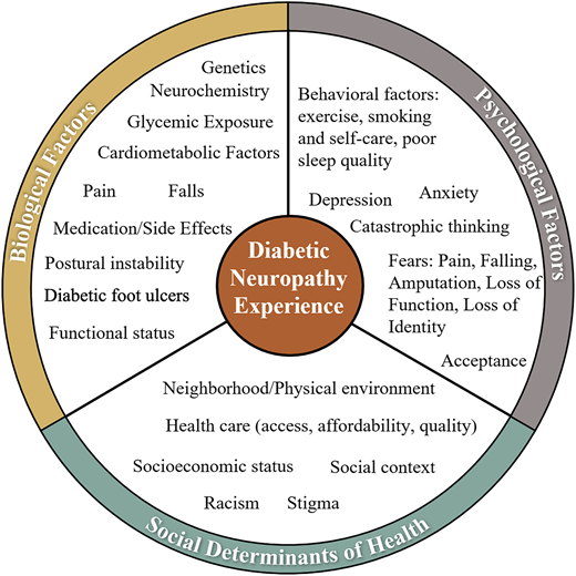 Biopsychosocial model of diabetic neuropathy experience. This figure was inspired by work from Adams and Turk in the area of chronic pain in general (35).