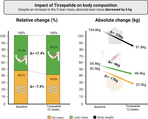 Impact of Tz on body composition: relative versus absolute change. Despite an increase in the percent LM, absolute LM decreased by 6 kg.