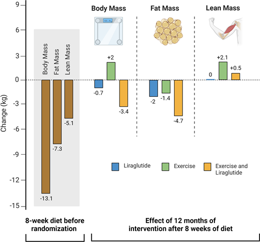 Effects of Lira combined with exercise on body composition. Data are from Lundgren et al. (77).