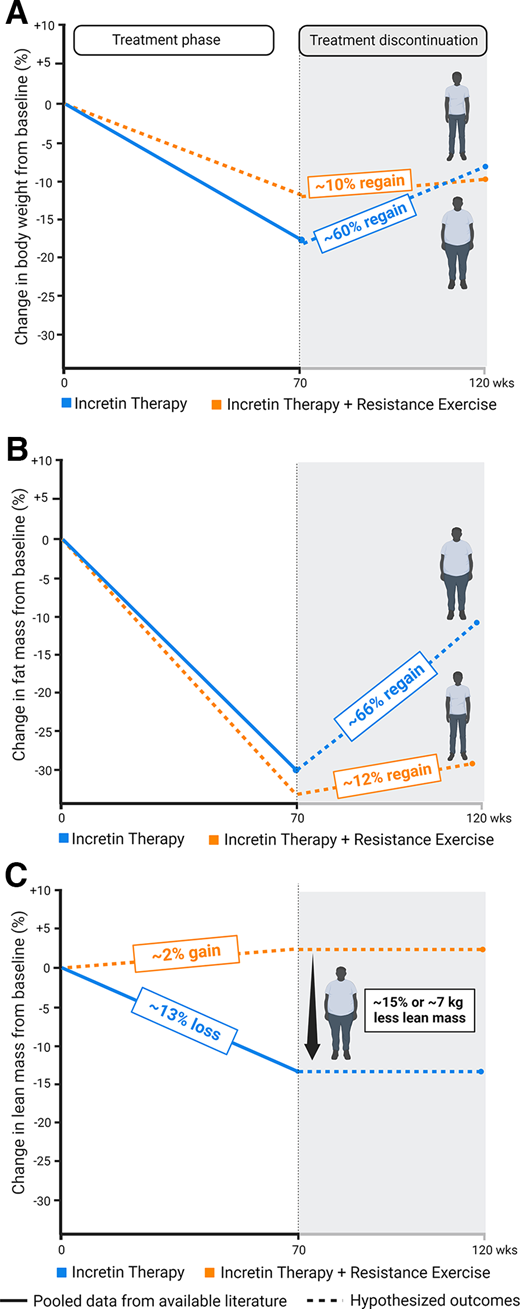 Hypothesized effects of incretin therapy with and without resistance training (RT) and its discontinuation on body weight (A), fat mass (B), and LM (C). Incretin therapy induces an average of ∼17% weight loss (combined data from Wilding et al. [17] and Jastreboff et al. [20]). After treatment discontinuation, ∼60% of the weight loss is regained (81,83). If incretin therapy is combined with RT, we hypothesize that smaller body weight reduction may occur due to LM retention. Regarding fat mass, evidence suggests a decrease of ∼29% after incretin therapy (combined data from Wilding et al. [17] and Jastreboff et al. [20]), and we hypothesize ∼66% fat mass regain after discontinuation of treatment. We hypothesize increased initial fat mass loss where incretin therapy is combined with RT on the grounds that RT promotes higher LM retention and hence energy expenditure. LM is highly metabolically active, so its retention during incretin therapy may mean that less fat is regained after treatment cessation. Furthermore, incretin therapy induces an average LM loss of ∼13%. RT should prevent loss of LM associated with incretin therapy, with less fat rebound after treatment discontinuation.