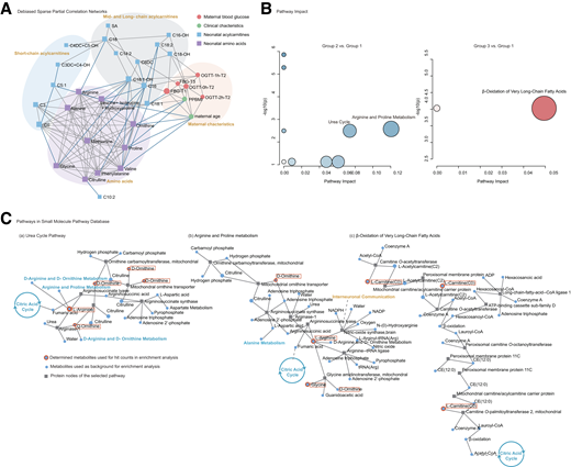 A: Debiased sparse partial correlation networks of the maternal glucose levels and neonatal metabolites. The nodes are input metabolites, and the edges represent the association measures. B: Maternal glucose trajectory groups associated with neonatal metabolic pathways identified by the pathway enrichment analysis and pathway topology analysis. Group 1: consistent normoglycemia; group 2: mid-to-late gestational hyperglycemia; group 3: early-onset hyperglycemia. C: Maternal glucose trajectory groups associated with neonatal metabolic urea cycle pathway (a), arginine and proline metabolism (b), and β-oxidation of very long-chain fatty acids (c) identified based on the Small Molecule Pathway Database. tRNA, transfer RNA.