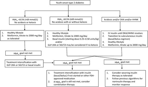 Proposed management approach for pediatric type 2 diabetes. Basal insulin dose is titrated based on self-monitoring of blood glucose up to 1.5 units/kg/day. Insulin should be used for symptomatic hyperglycemia. With target HbA1c <7.0% (53 mmol/mol) or <6.5% (47.5 mmol/mol) if no associated hypoglycemia. DKA, diabetic ketoacidosis; HHNK, hyperglycemic hyperosmolar nonketotic syndrome; IV, intravenous; GLP-1 RA, GLP-1 receptor agonist; SGLT2i, SGLT2 inhibitors.