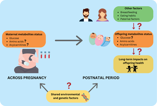 Potential intergenerational impacts of gestational hyperglycemia: future direction for research.