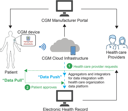 Data relationships among individuals, CGM manufacturers, health care professionals, and health care organizations for integration of personal CGM data into the EHR (81).