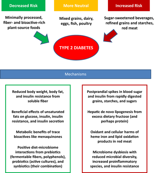 Diet patterns and type 2 diabetes risk.