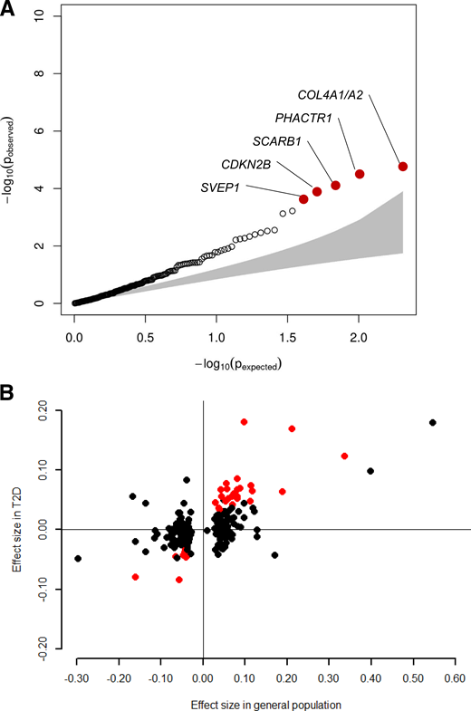Association of 204 previously identified CAD variants with incident CVD in people with T2D. A: Quantile-quantile plot showing the distribution of the observed P values for the 204 CAD variants with risk of incident CVD in people with T2D against the expected distribution under the null hypothesis. Red dots highlight five variants that were significantly associated with incident CVD after Bonferroni correction. B: Comparison of the effect size of 204 known CAD variants in the general population and incident CVD in people with T2D. Effect size of the known 204 CAD variants for prevalent CAD in the general population (x-axis, β-coefficient from logistic regression analysis) and incident CVD in people with T2D (y-axis, β-coefficient from Cox regression analysis) is plotted. Red dots highlight 35 variants that were nominally (P < 0.05) associated with incident CVD and had same direction of association in the general population.