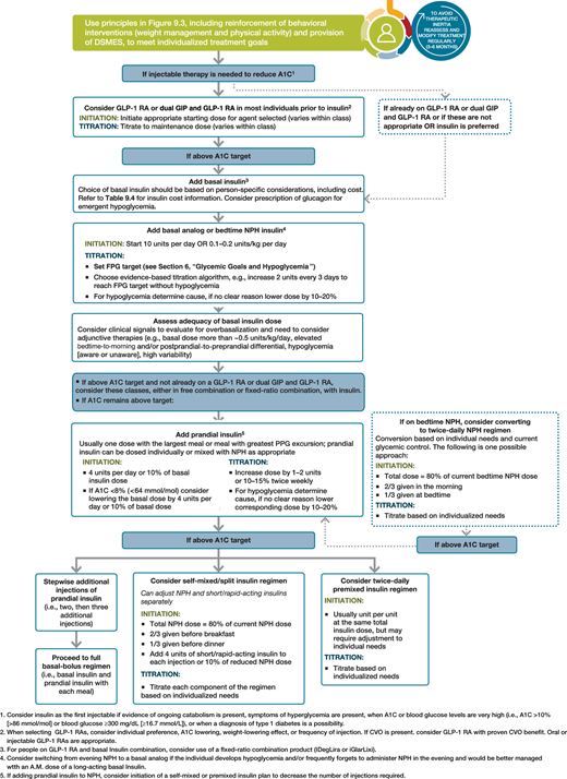 Intensifying to injectable therapies in type 2 diabetes. DSMES, diabetes self-management education and support; FPG, fasting plasma glucose; GLP-1 RA, glucagon-like peptide 1 receptor agonist; dual GIP and GLP-1 RA, dual glucose-dependent insulinotropic polypeptide and glucagon-like peptide 1 receptor agonist; max, maximum; PPG, postprandial glucose. Adapted from Davies et al. (151).