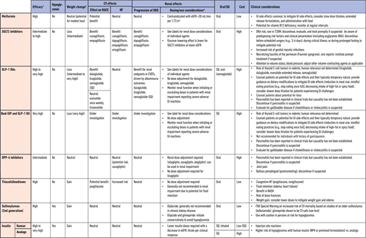 Medications for lowering glucose, summary of characteristics