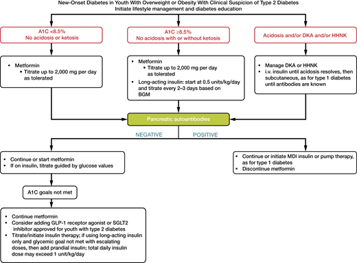 Management of new-onset diabetes in youth with overweight or obesity with clinical suspicion of type 2 diabetes. A1C 8.5% = 69 mmol/mol. Adapted from the ADA position statement “Evaluation and Management of Youth-Onset Type 2 Diabetes” (3). BGM, blood glucose monitoring; CGM, continuous glucose monitoring; DKA, diabetic ketoacidosis; GLP-1, glucagon-like peptide 1; HHNK, hyperosmolar hyperglycemic nonketotic syndrome; i.v., intravenous; MDI, multiple daily injections; SGLT2, sodium–glucose cotransporter 2.