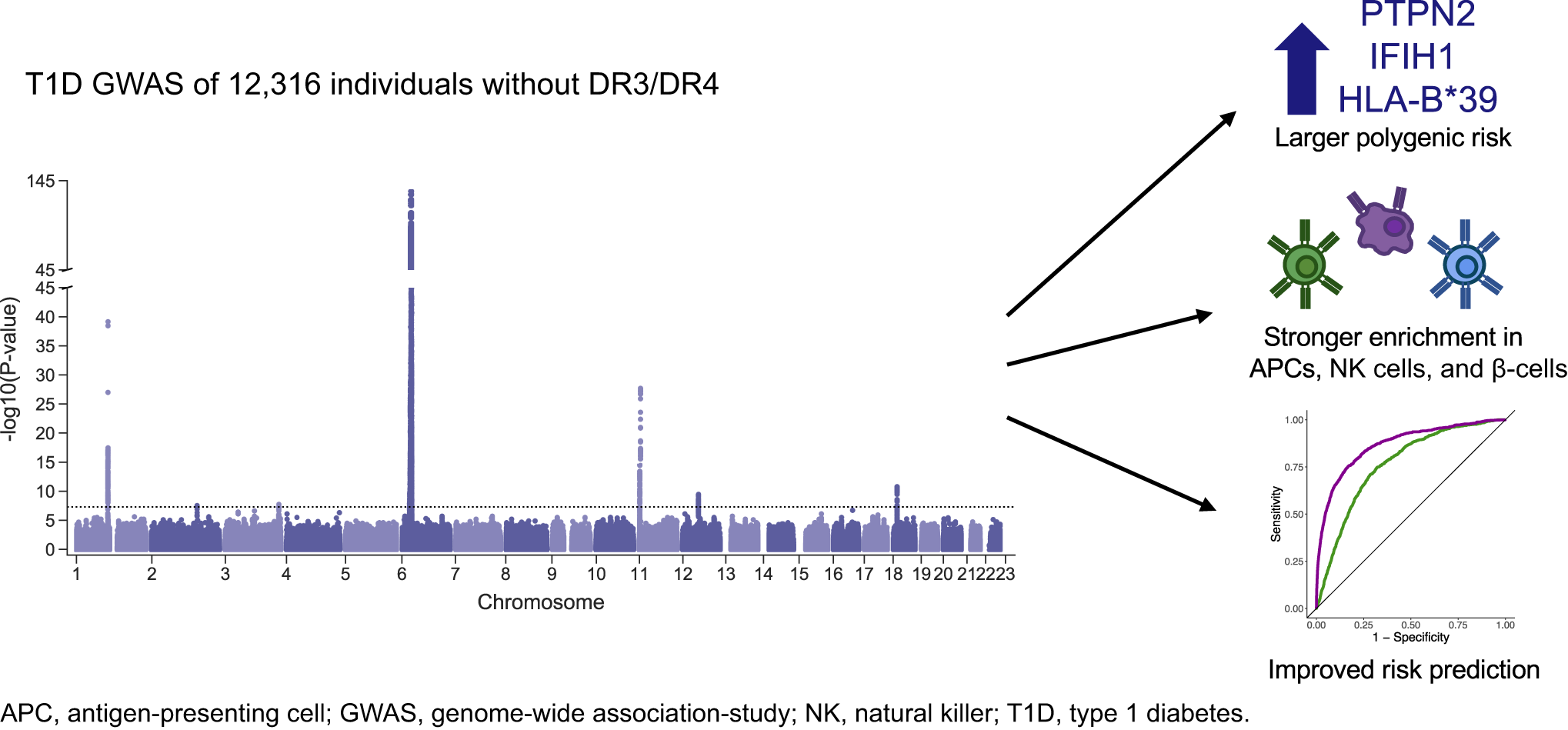 Genetic Discovery and Risk Prediction for Type 1 Diabetes in ...