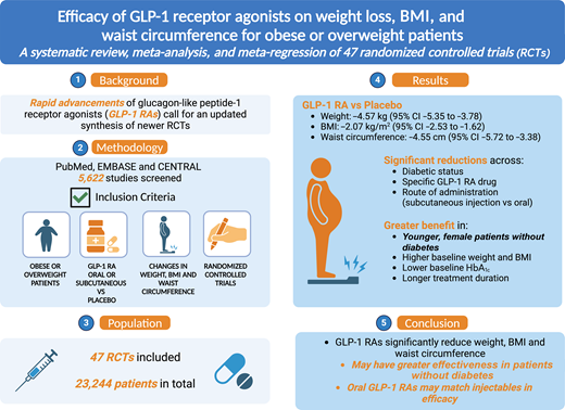 Illustration of Glp-1 Receptor Agonist Weight Loss