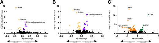 Comparison of plasma metabolome and adipose tissue transcriptome between metformin and placebo groups after a 7-day GC challenge. A: Plasma metabolomic changes in 17 participants after treatment with metformin and placebo in the fasting state. B: Plasma metabolomic changes in the same participants in the postprandial state. In both panels, yellow points represent metabolites significantly reduced with metformin; purple points represent metabolites significantly increased with metformin. C: Differential gene expression in white adipose tissue from 10 participants under metformin and placebo treatment. Orange points represent genes downregulated with metformin, and green points represent upregulated genes. The dotted line represents the adjusted P-value cutoff of 0.05.
