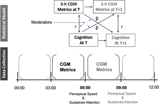 The cross-lagged panel model structure examining CGM metrics and ambulatory cognition is visually shown above an illustration of data collection of CGM metrics and ambulatory cognition, organized in sequential 3-h periods.