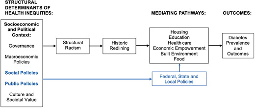 Conceptual framework for relationship between historic redlining and diabetes prevalence and outcomes. This figure is adapted from the World Health Organization social determinants of health framework (13). It indicates how historic redlining is an example of structural racism, which is a structural determinant of health inequities. Historic redlining affects diabetes prevalence and outcomes via several mediating pathways that are amenable to change from social and public policies (indicated in blue).