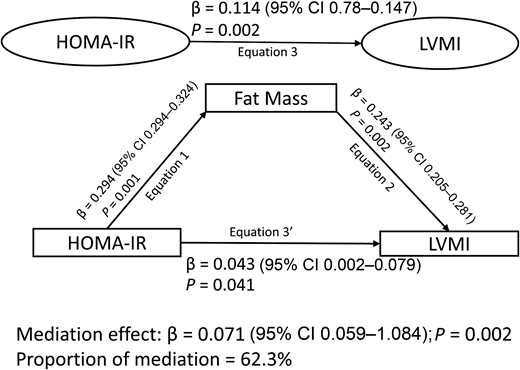 Mediating role of increased fat mass in the longitudinal relationships of insulin resistance with left ventricular mass. Mediation structural equation model estimating natural direct and indirect effects was adjusted for sex, family history of hypertension, diabetes, high cholesterol, vascular disease, and socioeconomic status, in addition to time-varying covariates such as age, hsCRP, heart rate, systolic blood pressure, smoking status, sedentary time, light physical activity, moderate to vigorous physical activity, HDL cholesterol, LDL cholesterol, triglyceride level, and lean mass. The standardized regression coefficient is indicated by β. Two-sided P < 0.05 was considered statistically significant. HOMA-IR was calculated as (fasting insulin × fasting glucose/22.5). When the magnitude of the longitudinal association between the predictor and outcome is decreased upon inclusion of a third variable, a mediation is confirmed. LVMI2.7, left ventricular mass indexed for height raised to the 2.7 power.