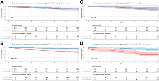 Kaplan-Meier survival curves of the secondary cancer (A) and death (B) outcomes in the ITA group and the secondary cancer (C) and dialysis (D) outcomes in the IAK group. Time is given in years.