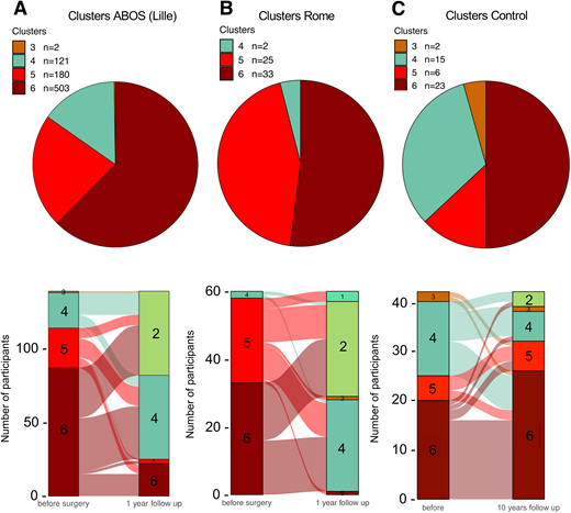 Tübingen Clusters distribution at baseline and change of cluster assignment over time in the ABOS cohort (A), Rome cohort (B), and control cohort (C).