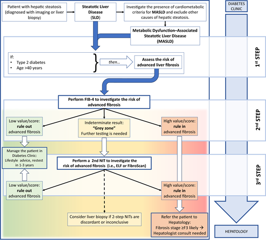 Proposed two-step noninvasive liver fibrosis risk stratification for patients with type 2 diabetes. NIT, noninvasive test.