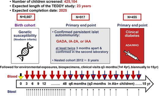 TEDDY study design. Ab, autoantibody; ADA, American Diabetes Association; q, every; WHO, World Health Organization; yr, years.