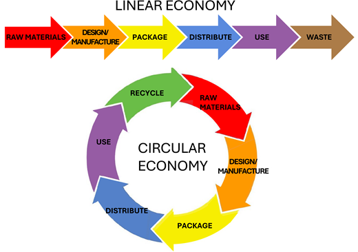 Typical product life cycle (15). Reprinted with permission from Nguyen et al. (17).