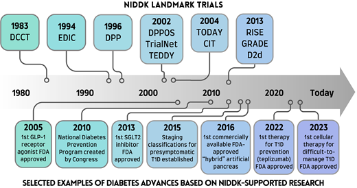 Examples of NIDDK-supported landmark studies and associated advances in diabetes. NIDDK has supported landmark studies contributing to significant advances in diabetes care. Examples of such studies, their years of inception, and a list of examples of associated advances are indicated. D2d, Vitamin D and Type 2 Diabetes study; GLP-1, glucagon-like peptide 1; SGLT2, sodium–glucose cotransporter 2; T1D, type 1 diabetes.