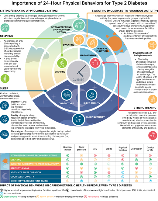 Importance of 24-h physical behaviors for type 2 diabetes. Adapted from Davies et al. (75).