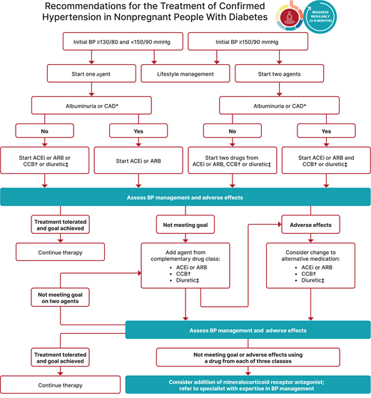 Recommendations for the treatment of confirmed hypertension in nonpregnant people with diabetes. *An ACE inhibitor (ACEi) or angiotensin receptor blocker (ARB) is suggested for the treatment of hypertension in people with coronary artery disease (CAD) or urine albumin-to-creatinine ratio 30–299 mg/g creatinine and is strongly recommended for individuals with urine albumin-to-creatinine ratio ≥300 mg/g creatinine. †Dihydropyridine calcium channel blocker (CCB). ‡Thiazide-like diuretic; long-acting agents shown to reduce cardiovascular events, such as chlorthalidone and indapamide, are preferred. BP, blood pressure. Adapted from de Boer et al. (21).