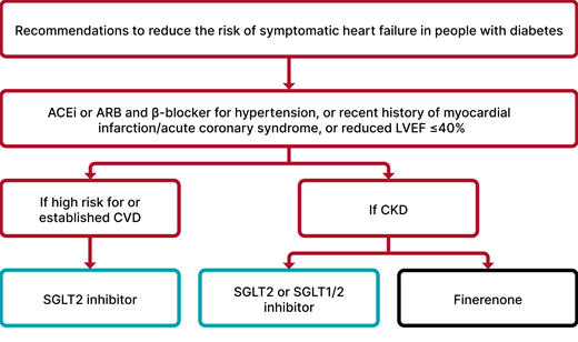 Overview of recommendations for the prevention of the development of symptomatic heart failure in people with diabetes. ACEi, ACE inhibitor; ARB, angiotensin receptor blocker; CKD, chronic kidney disease; CVD, cardiovascular disease; LVEF, left ventricle ejection fraction; SGLT2, sodium–glucose cotransporter 2. Adapted from “Standards of Care in Diabetes—2024 Abridged for Primary Care Professionals” (325).