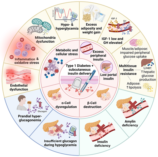 Un diagrama ilustra los factores relacionados con la diabetes tipo 1, incluida la deficiencia de insulina, la desregulación de las células α y el estrés metabólico, organizados en un formato circular con íconos.